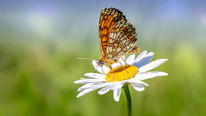 快连APP下载指南:官方渠道极速获取教程 快连APP下载指南:官方渠道极速获取教程 二