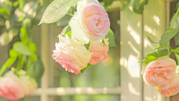 快连下载安装全攻略：3步轻松搞定高效稳定连接指南 二