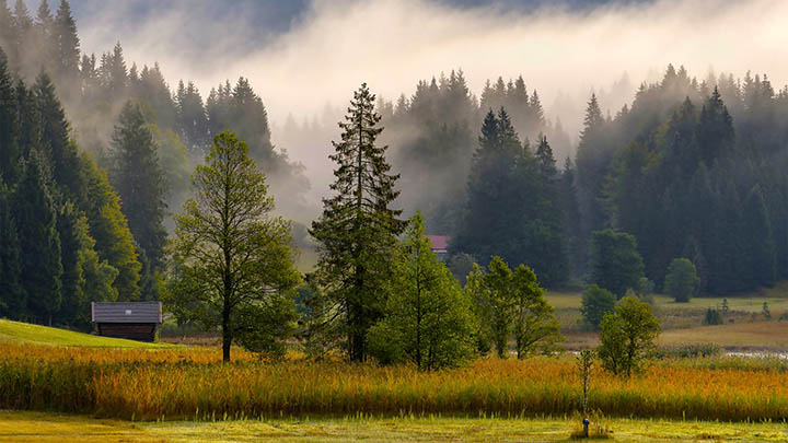 快连下载Windows总失败？教你5种有效解决方式 二