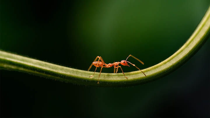 快连下载Mac遇阻?快速获取最佳安装指南 快连下载Mac遇阻?快速获取最佳安装指南 二