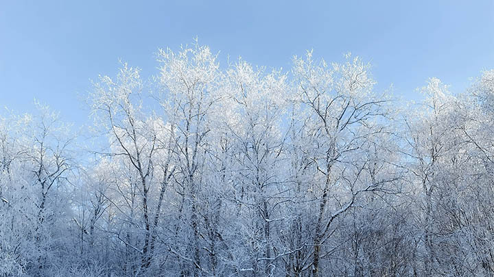 快连下载慢怎么办？5种优化技巧让速度飞起来 二