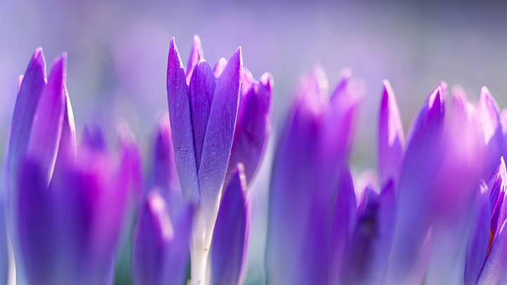 快连下载安全吗:全方位解析及操作指南 快连下载安全吗:全方位解析及操作指南 二