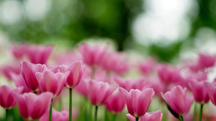 快连下载正规吗？官方认证与安全性分析详解方案 二