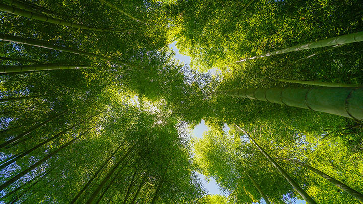 快连VPN下载指南：三步轻松开启畅快上网之旅 二