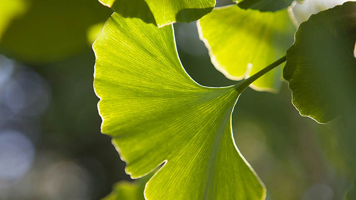 快连VPN下载后怎么用不了? 快连VPN下载后怎么用不了? 二
