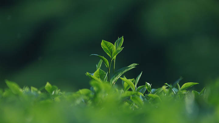 快连下载支持哪些设备？全平台兼容详细解析 二