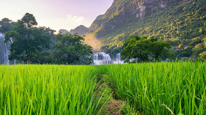 快连下载支持Mac吗？官方指南详解兼容设备与安装技巧 二