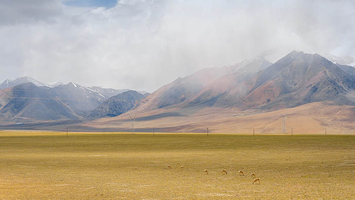 快连下载官方版本：免注册畅享全功能，轻松获取安装包 二