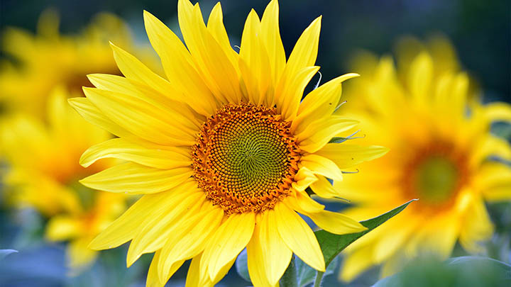 快连下载正版渠道出问题?快速修复指南 快连下载正版渠道出问题?快速修复指南 二