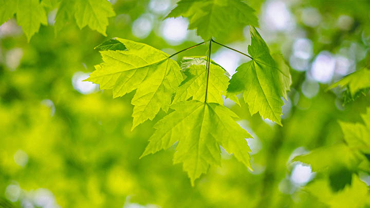 快连下载绿色版难找？这几个安全平台必须收藏 二