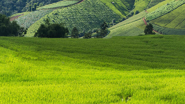 快连下载国际版怎么下载？官方正版全设备安装详解 二