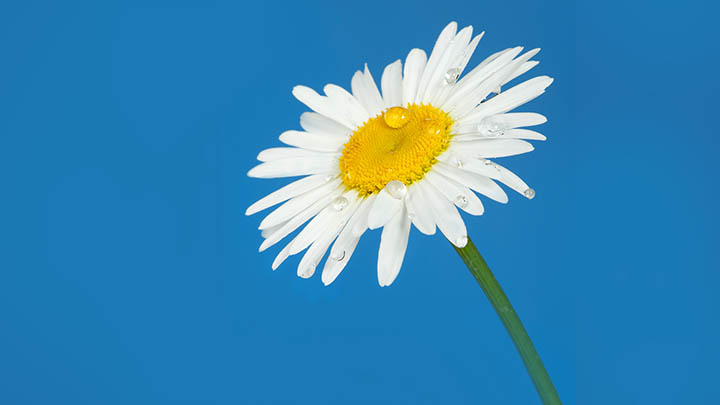 快连下载国内版如何轻松获取？全网最新官网指引与平台适配详解 二