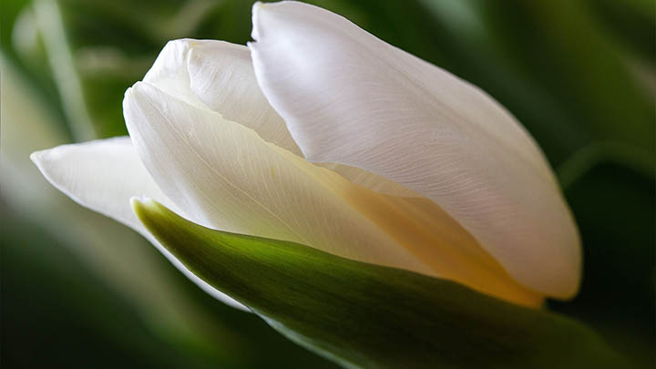 快连下载海外版指南:3分钟快速获取全球连接偏好 快连下载海外版指南:3分钟快速获取全球连接偏好 二