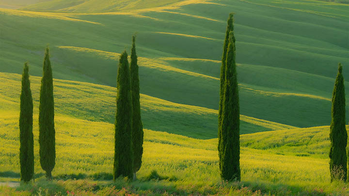 快连下载需要更新吗？深度解析快速检测和安全升级教程 二