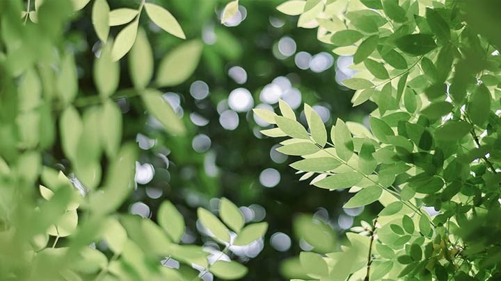 快连VPN下载安装失败解决方案：兼容性问题解析与实用建议 二