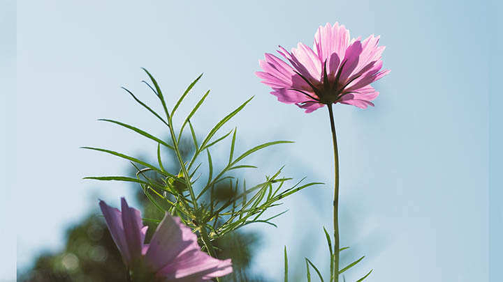 快连VPN下载问题：无限闪退怎么解决？
 二