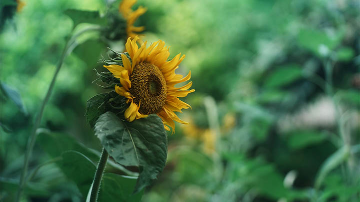 快连VPN白屏修复：3步搞定安装异常 二