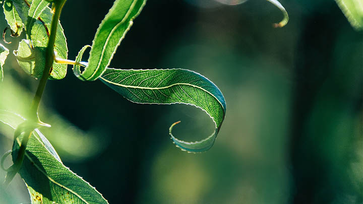 快连下载安装后无反应?轻松解决的五大步骤指南 快连下载安装后无反应?轻松解决的五大步骤指南 二