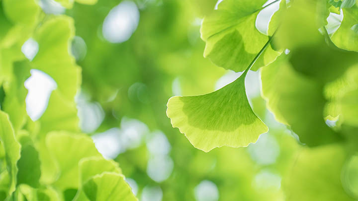 快连下载安装后死机？全面解析原因与解决技巧大公开 二