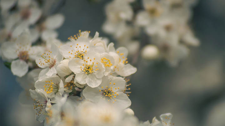 快连下载安装后出错？小白必备速解攻略 二