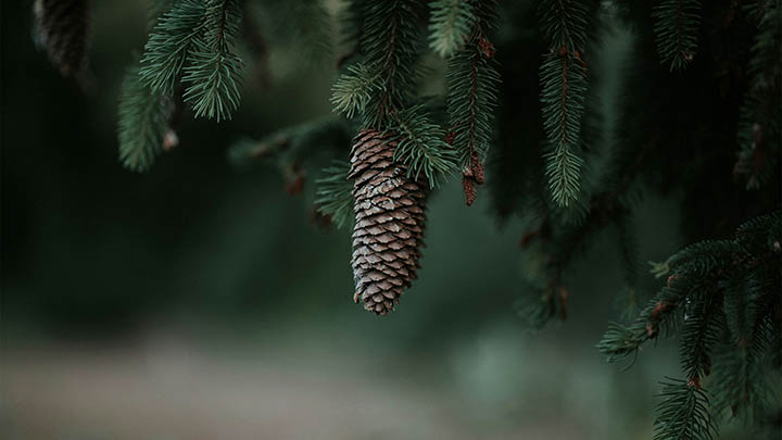 无法登录快连VPN？下载安装后解决技巧大揭秘 二