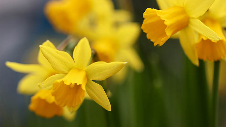 快连下载安装后连接不稳定？专业优化建议与快速修复教程 二