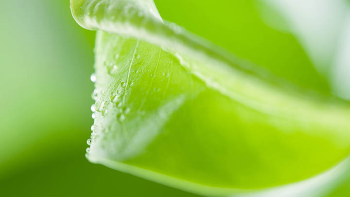 快连VPN下载安装后无法连接？专业指南快速解决所有问题 二